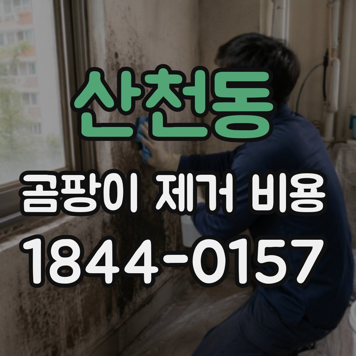 산천동 곰팡이 제거 비용