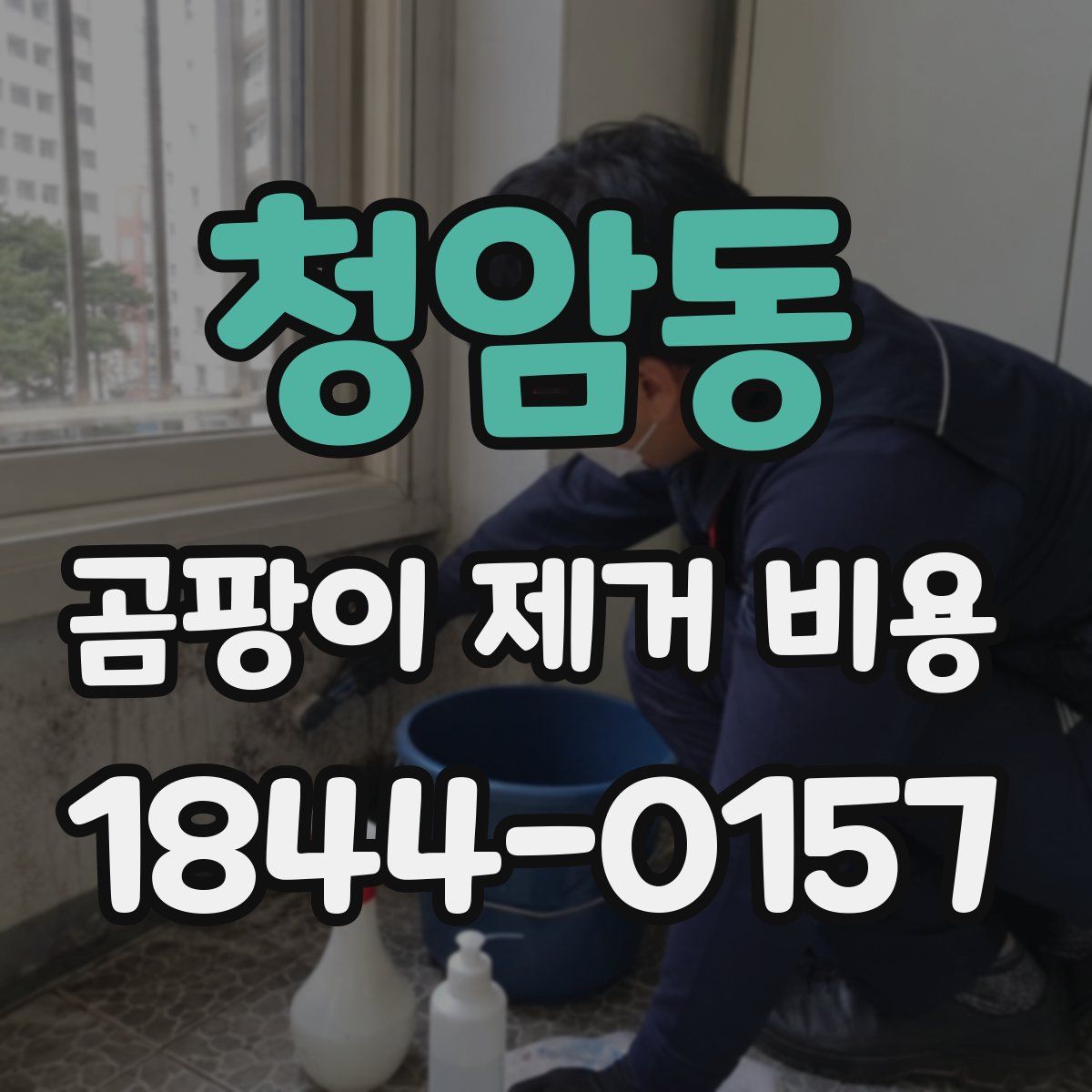 청암동 곰팡이 제거 비용