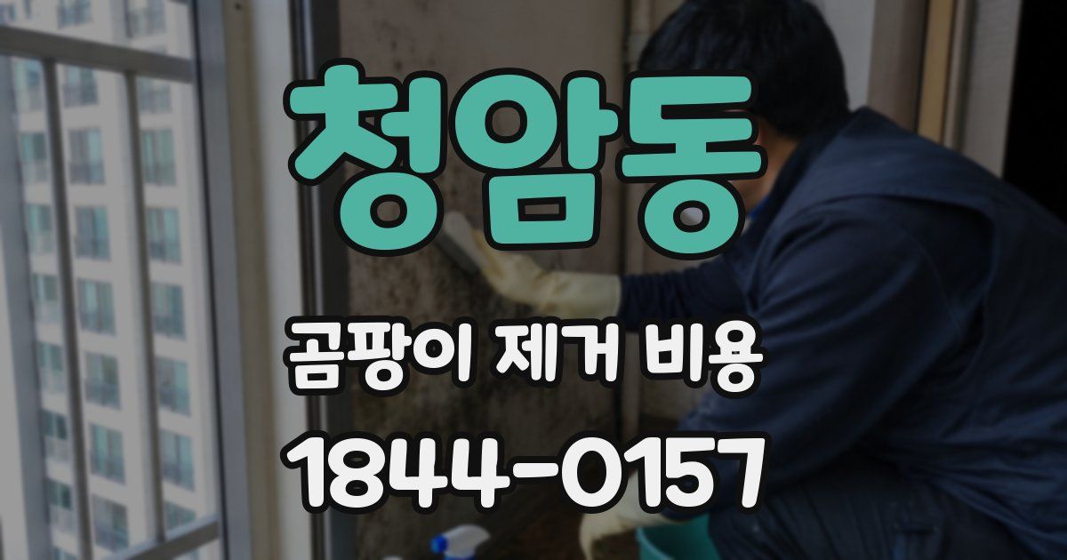 청암동 곰팡이 제거 비용