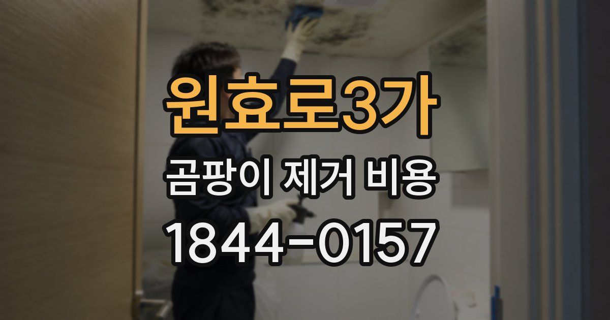 원효로3가 곰팡이 제거 비용