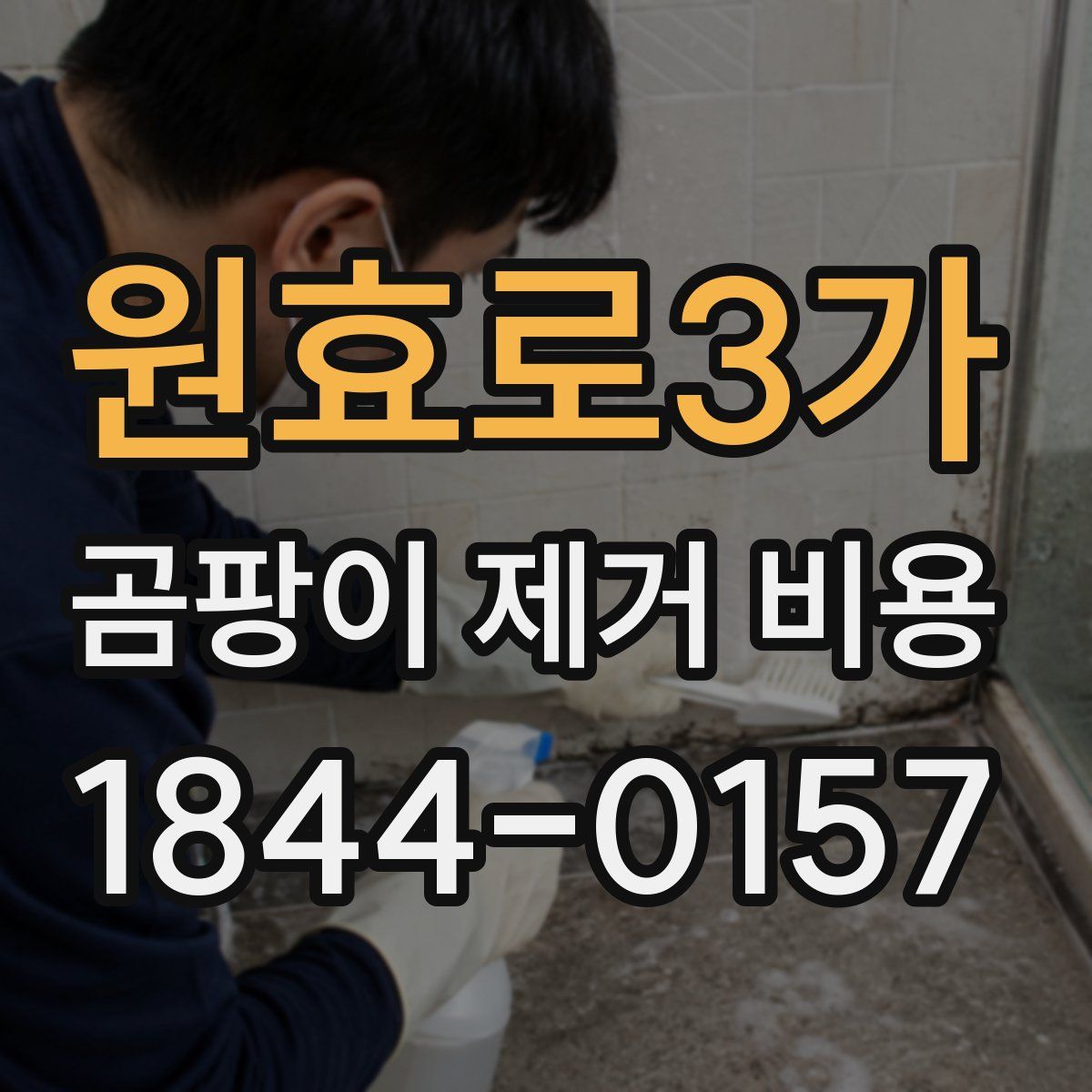 원효로3가 곰팡이 제거 비용
