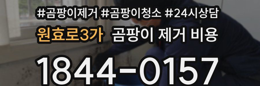 원효로3가 곰팡이 제거 비용