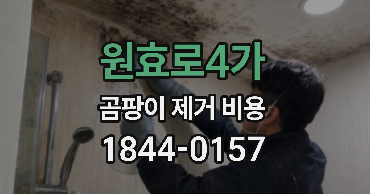 원효로4가 곰팡이 제거 비용