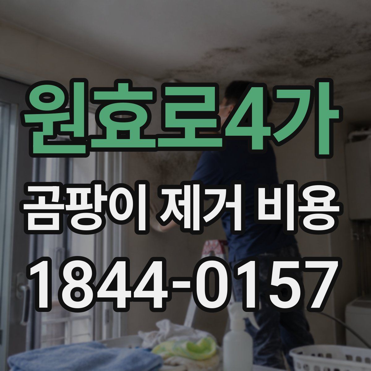 원효로4가 곰팡이 제거 비용