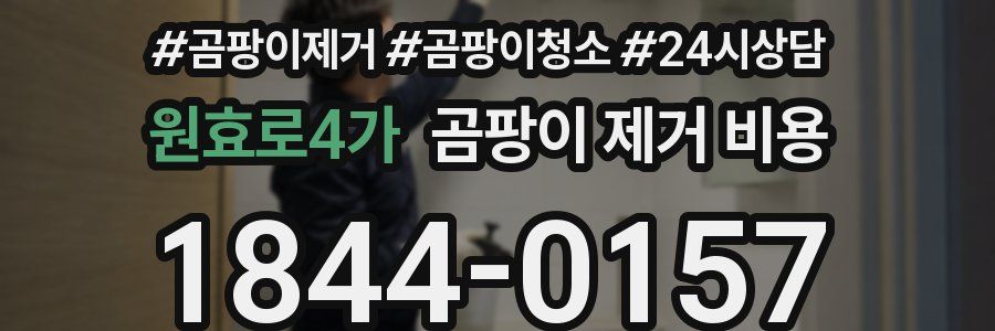 원효로4가 곰팡이 제거 비용