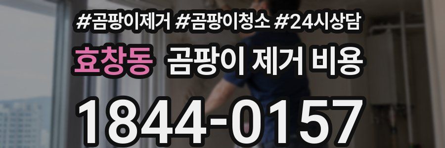 효창동 곰팡이 제거 비용