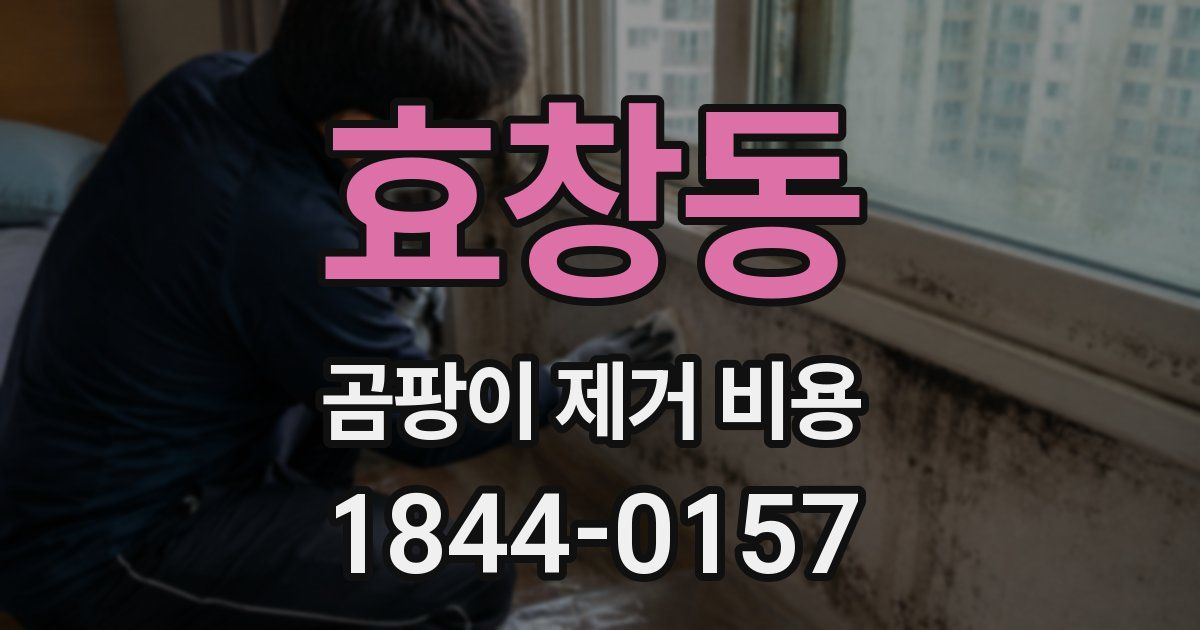 효창동 곰팡이 제거 비용