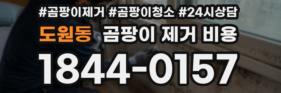 도원동 곰팡이 제거 비용