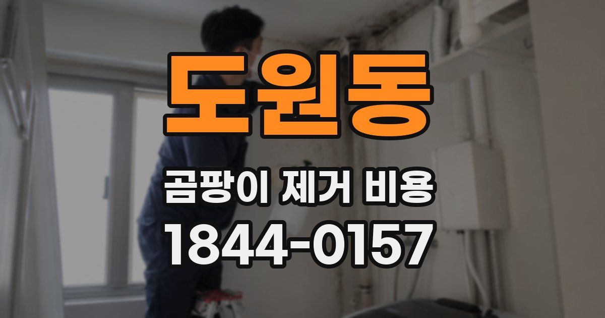 도원동 곰팡이 제거 비용