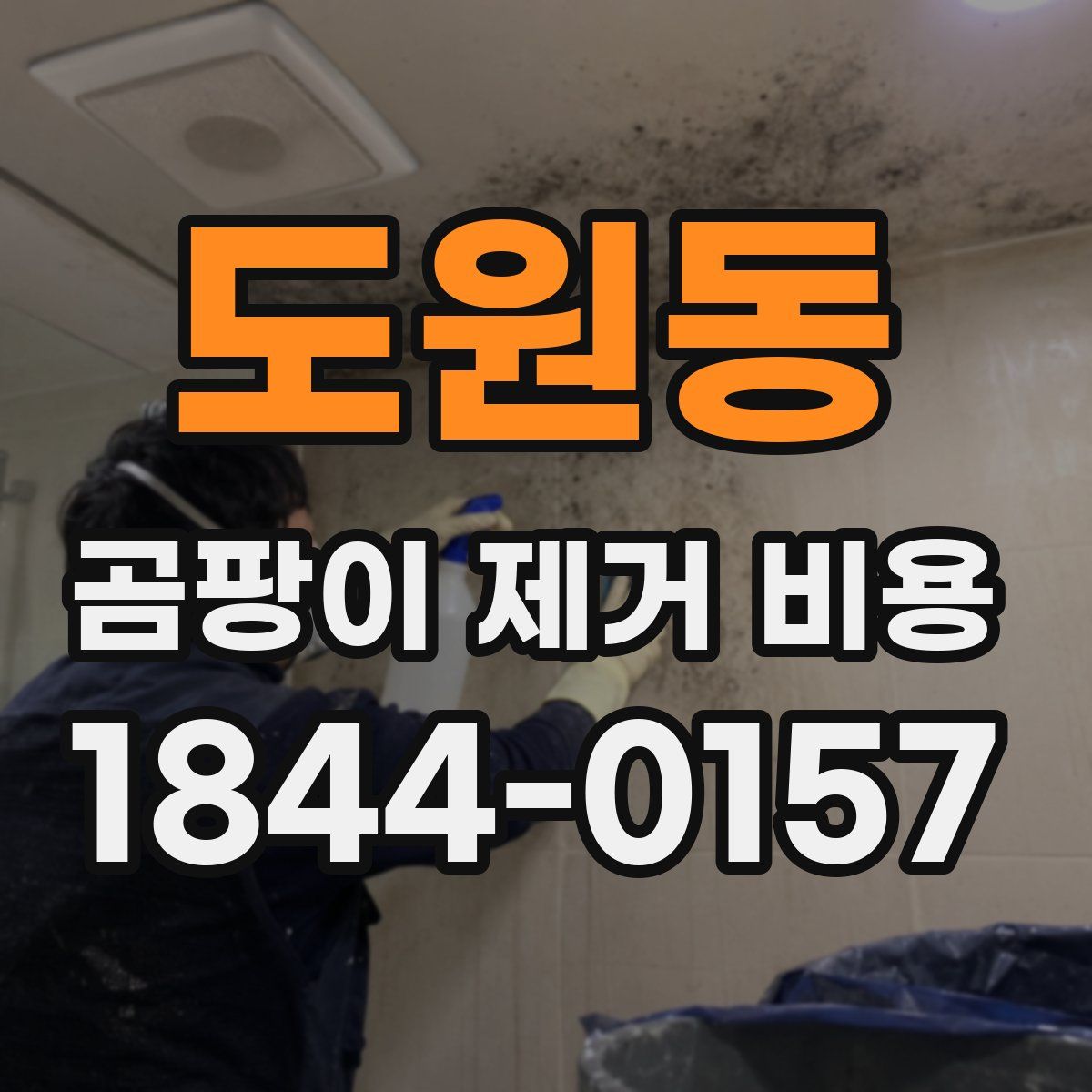 도원동 곰팡이 제거 비용