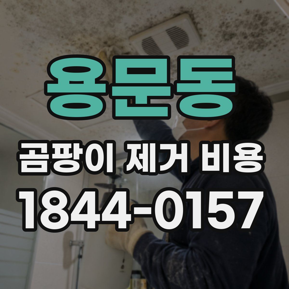 용문동 곰팡이 제거 비용