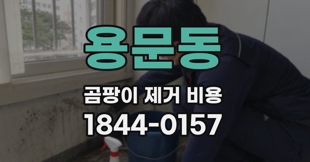 용문동 곰팡이 제거 비용