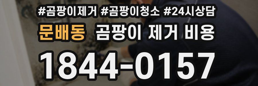 문배동 곰팡이 제거 비용
