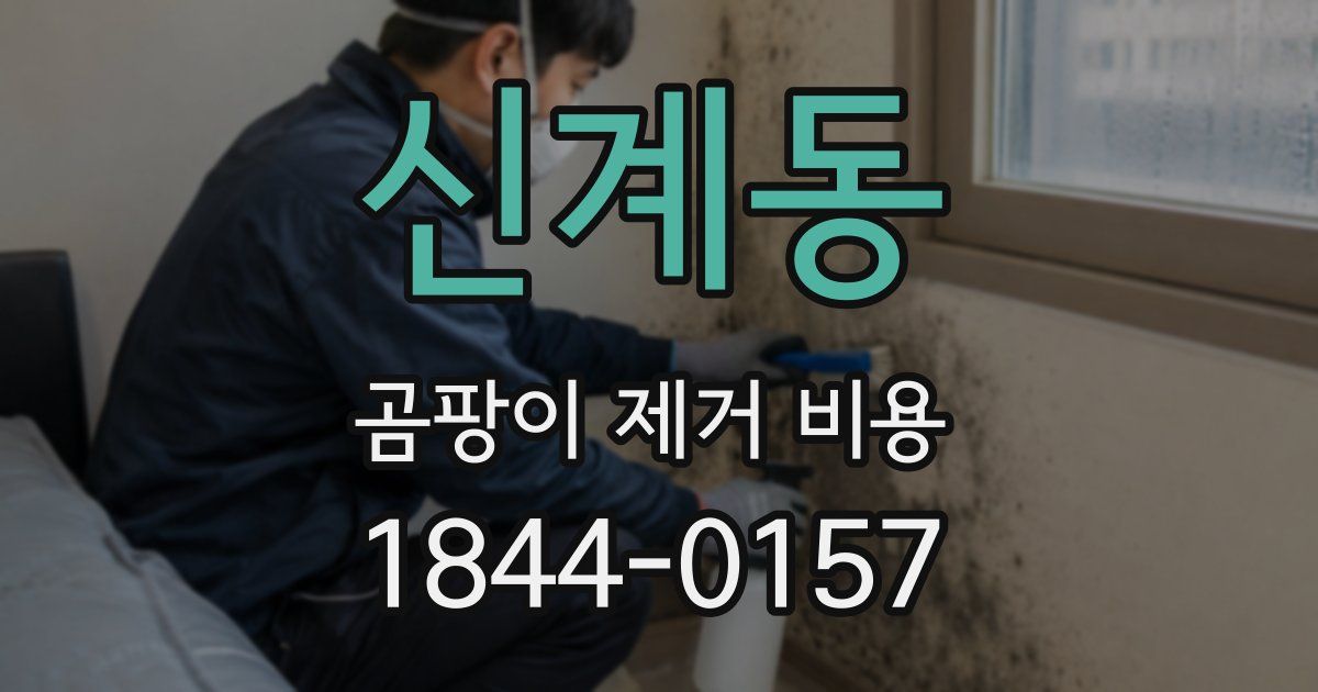 신계동 곰팡이 제거 비용