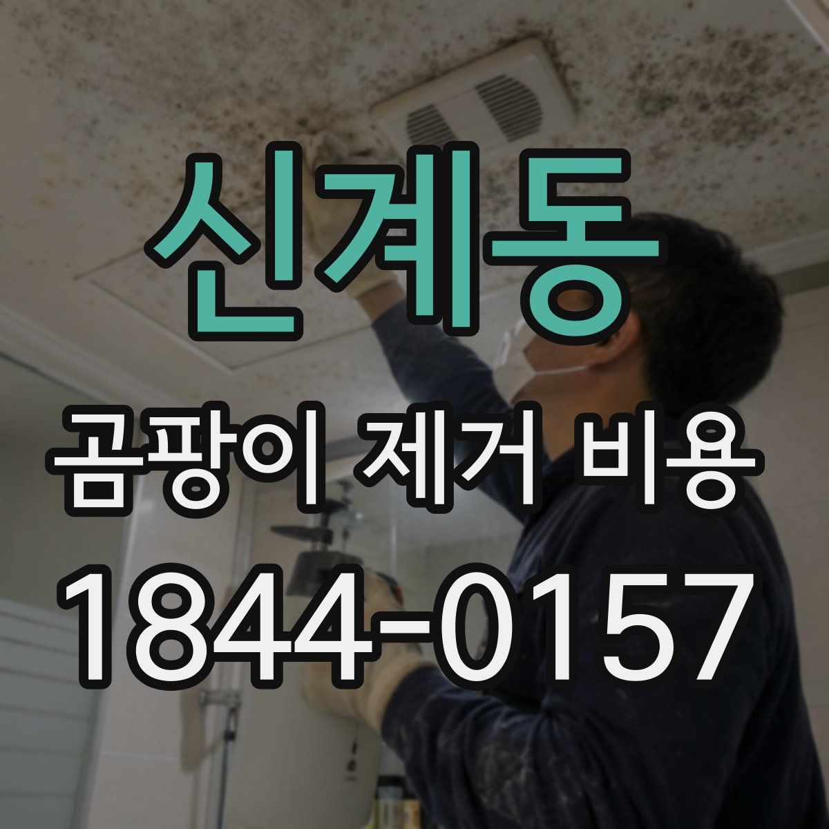 신계동 곰팡이 제거 비용