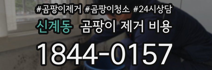 신계동 곰팡이 제거 비용