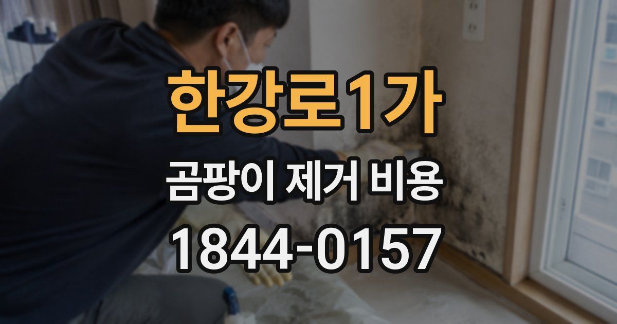 한강로1가 곰팡이 제거 비용