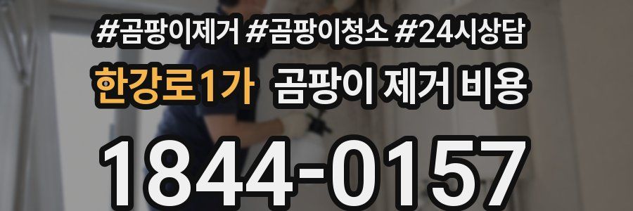 한강로1가 곰팡이 제거 비용