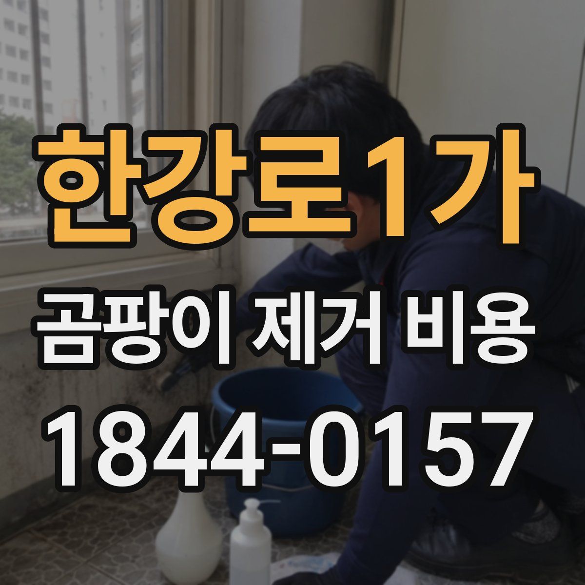 한강로1가 곰팡이 제거 비용