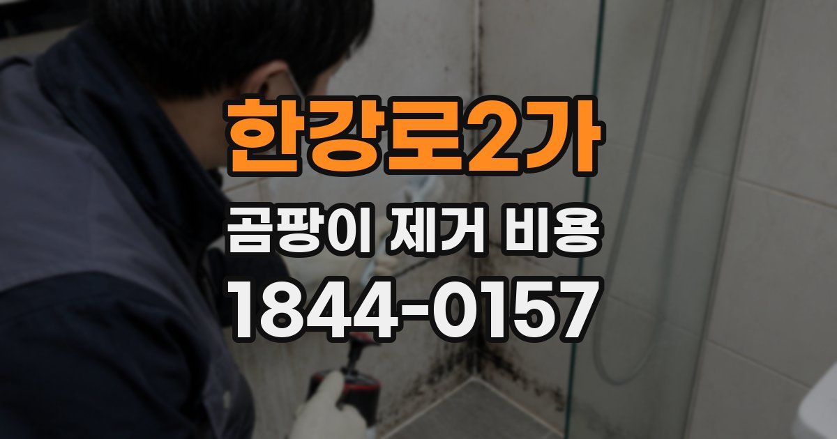 한강로2가 곰팡이 제거 비용