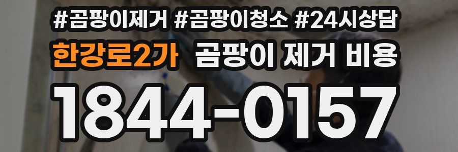 한강로2가 곰팡이 제거 비용