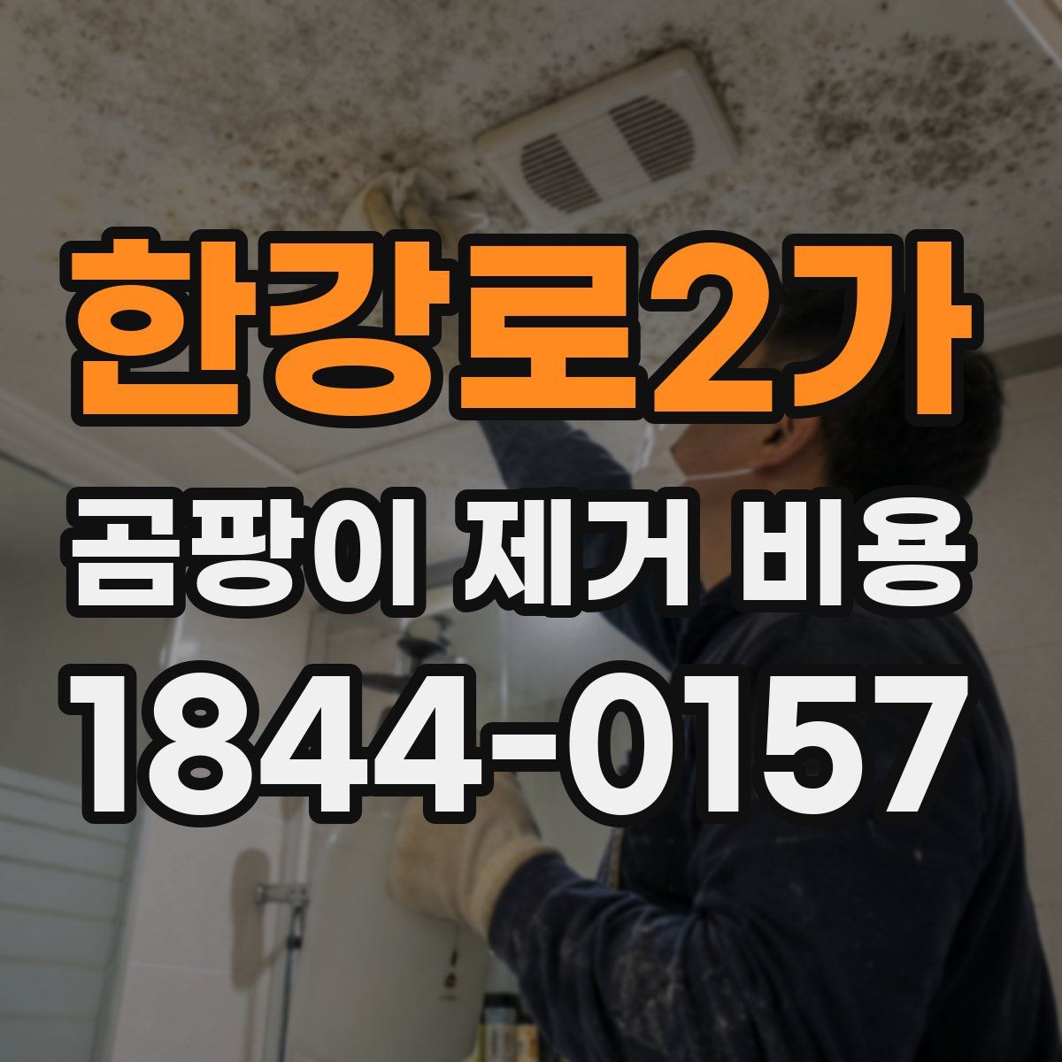 한강로2가 곰팡이 제거 비용