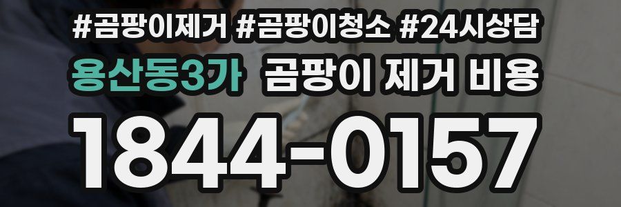 용산동3가 곰팡이 제거 비용