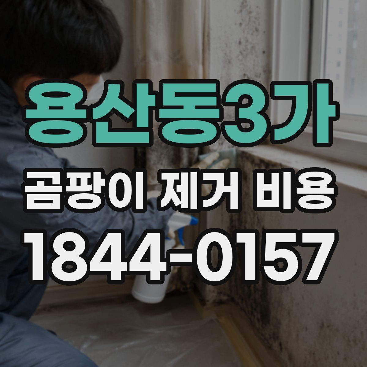 용산동3가 곰팡이 제거 비용