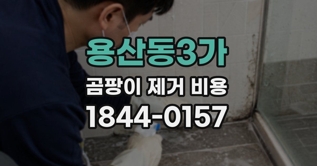 용산동3가 곰팡이 제거 비용