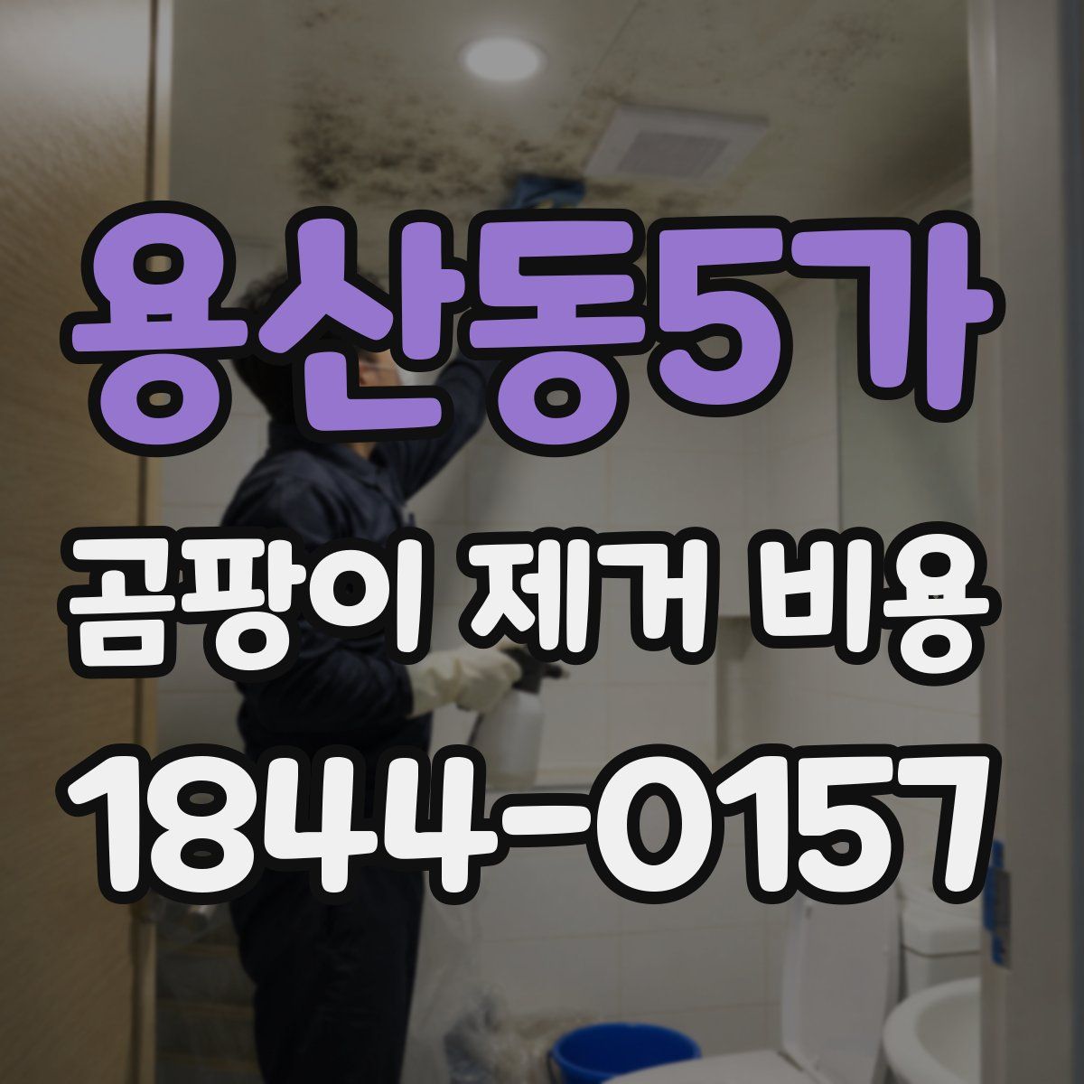용산동5가 곰팡이 제거 비용