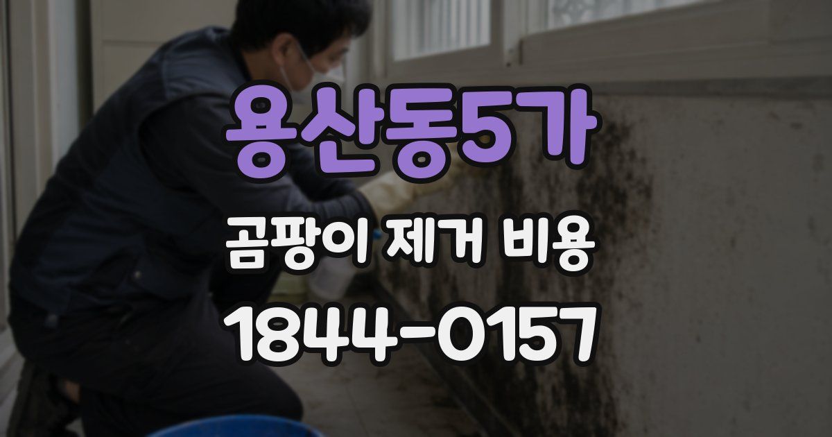 용산동5가 곰팡이 제거 비용