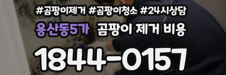 용산동5가 곰팡이 제거 비용