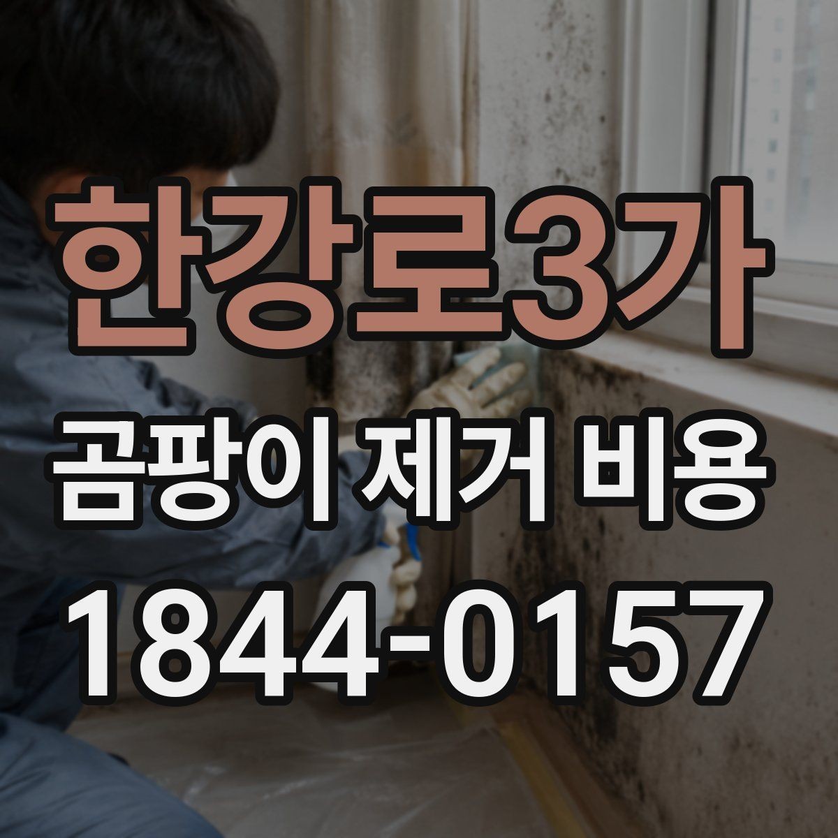 한강로3가 곰팡이 제거 비용 항균 마감까지 진행할 때의 구성