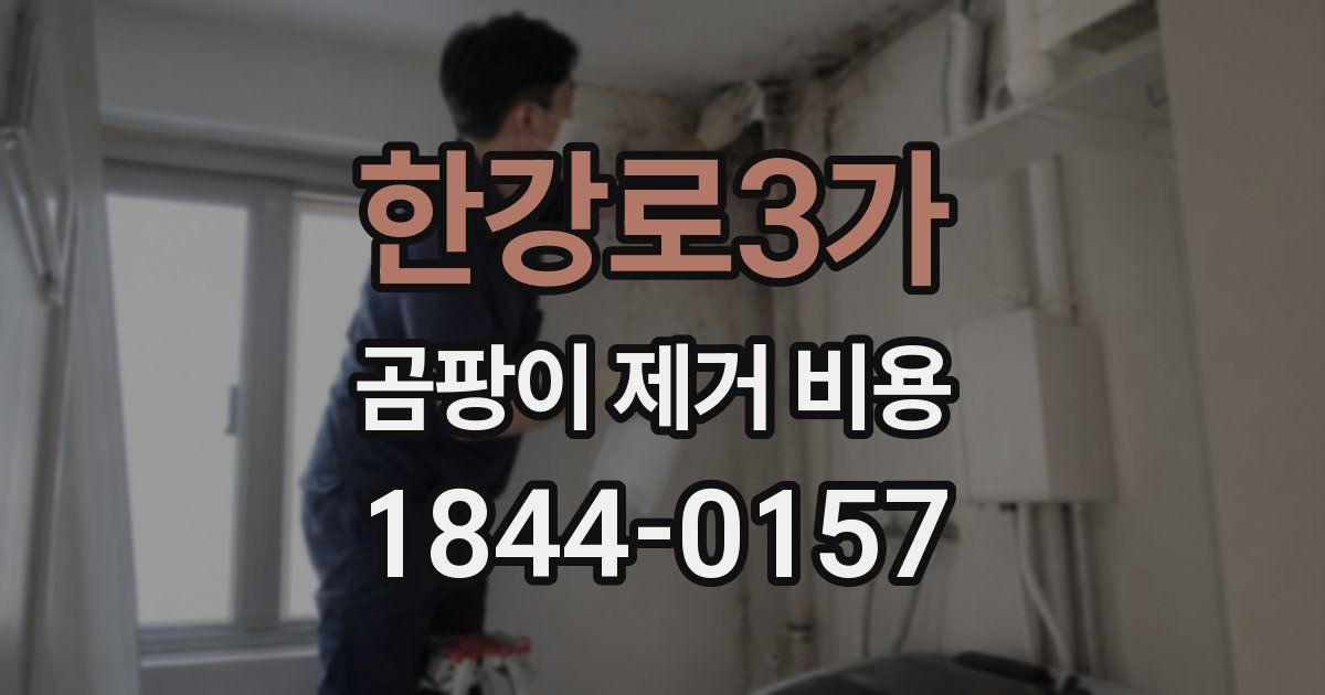 한강로3가 곰팡이 제거 비용