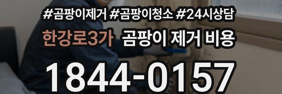 한강로3가 곰팡이 제거 비용
