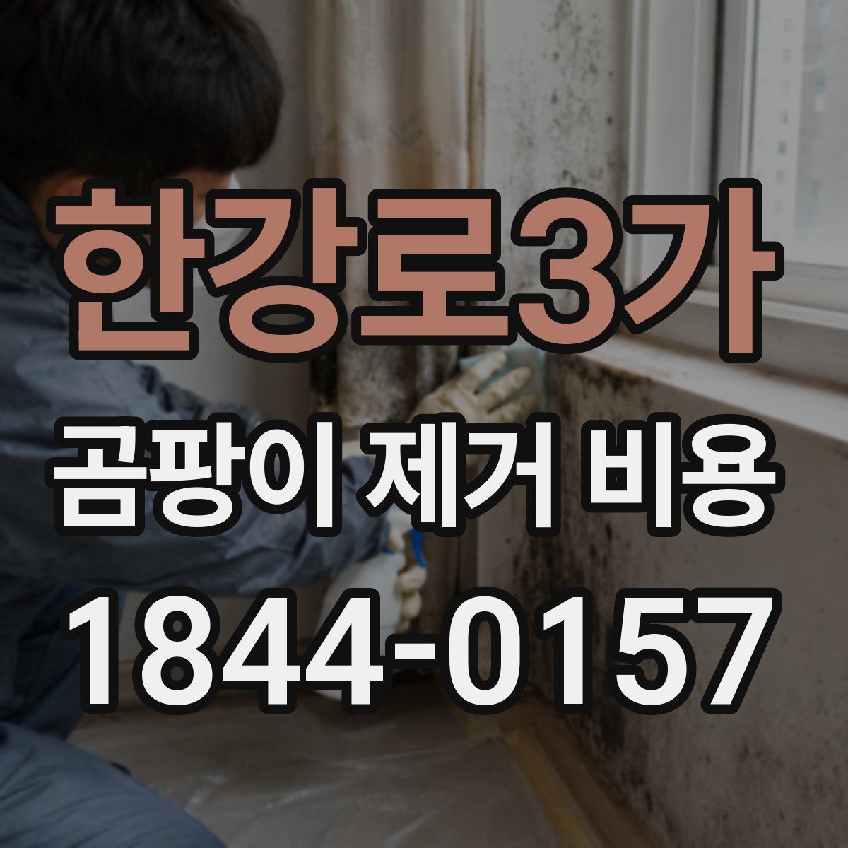 한강로3가 곰팡이 제거 비용