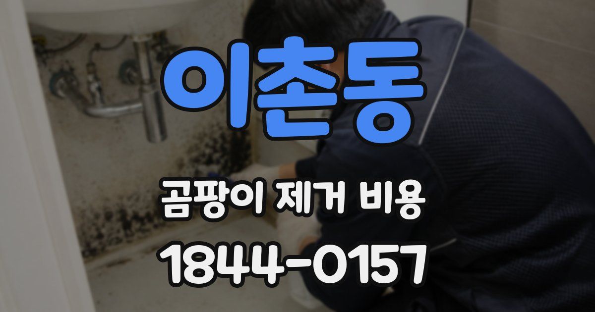 이촌동 곰팡이 제거 비용