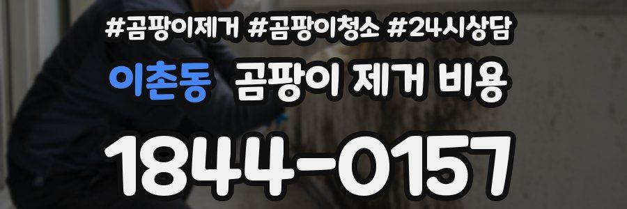 이촌동 곰팡이 제거 비용