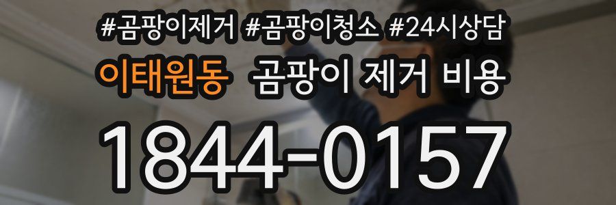 이태원동 곰팡이 제거 비용