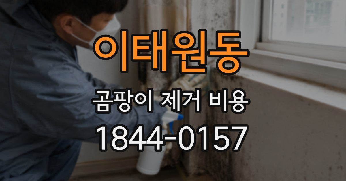 이태원동 곰팡이 제거 비용