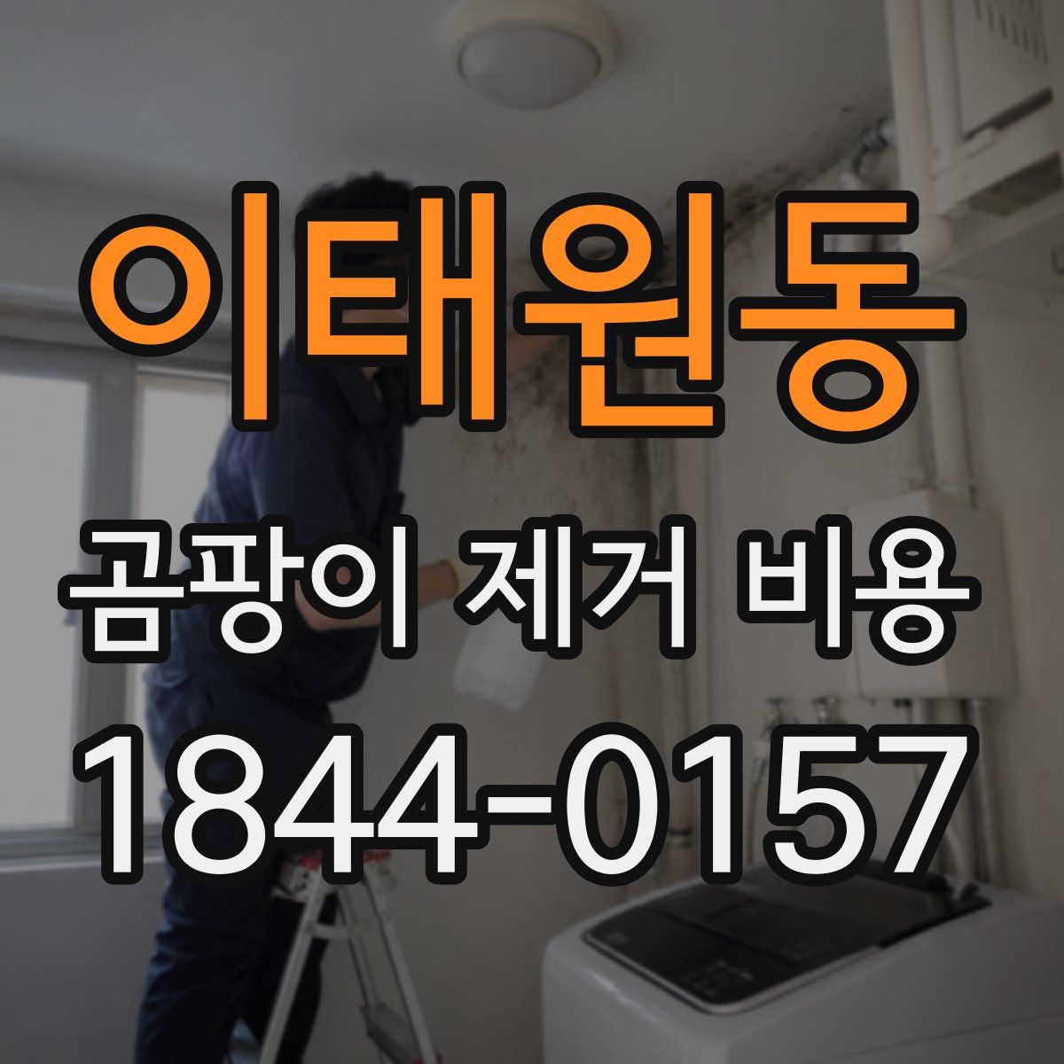 이태원동 곰팡이 제거 비용