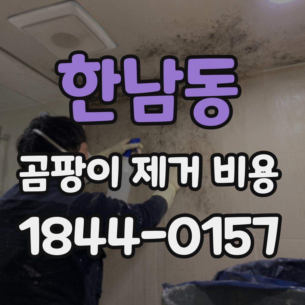 한남동 곰팡이 제거 비용