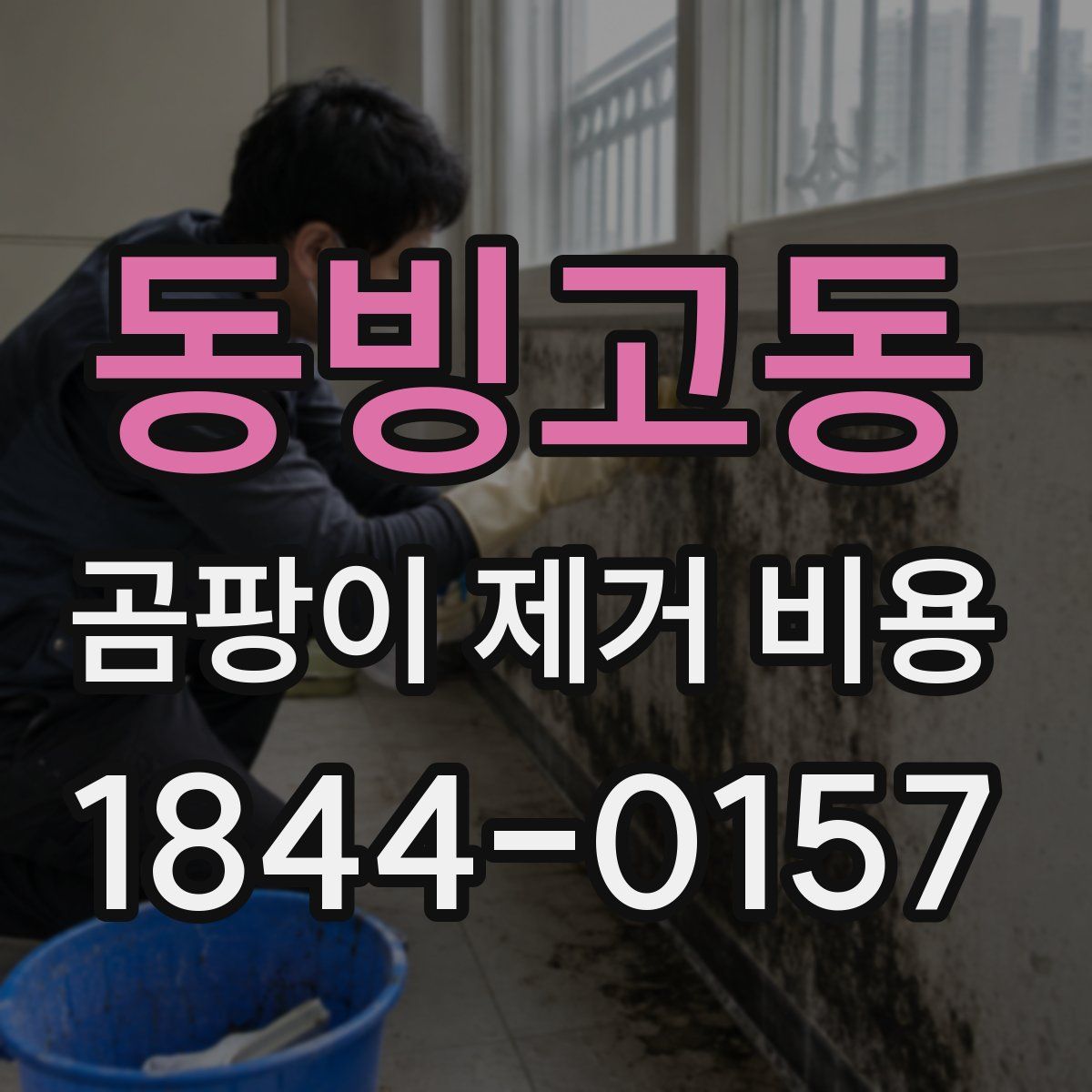 동빙고동 곰팡이 제거 비용