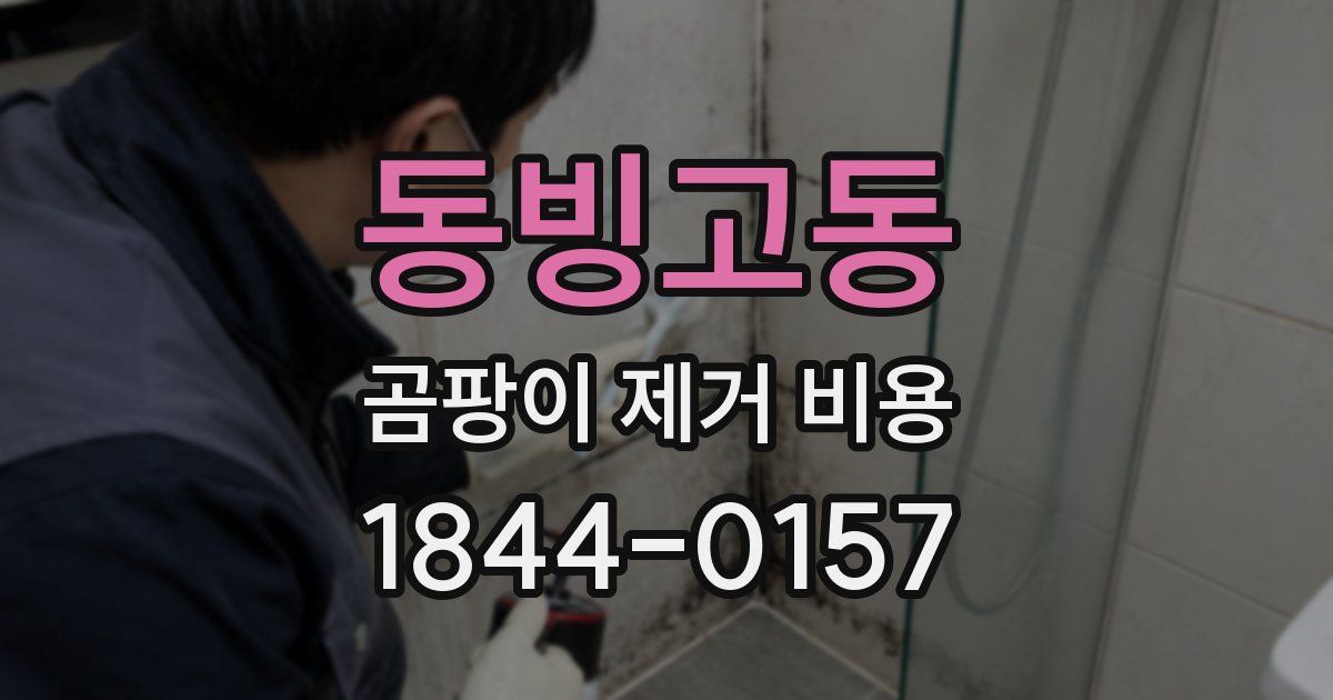 동빙고동 곰팡이 제거 비용