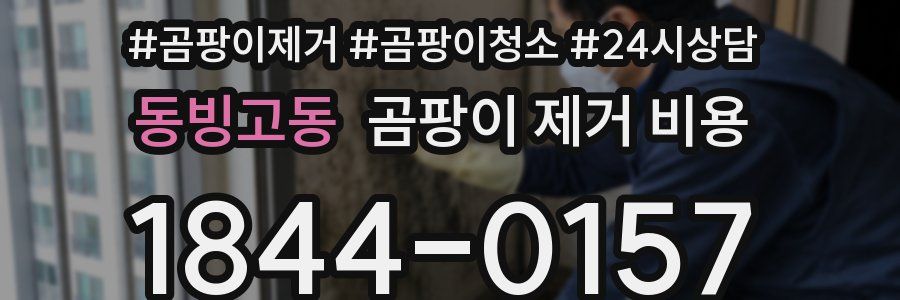동빙고동 곰팡이 제거 비용