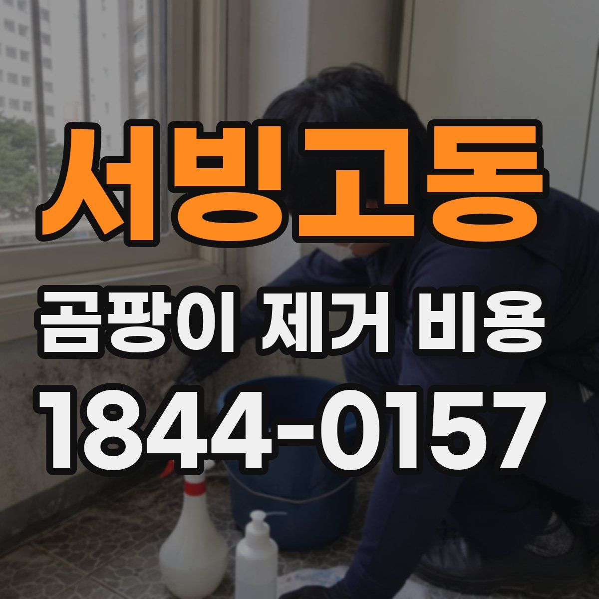 서빙고동 곰팡이 제거 비용