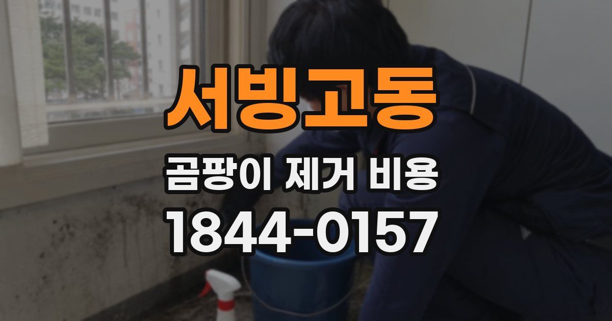서빙고동 곰팡이 제거 비용