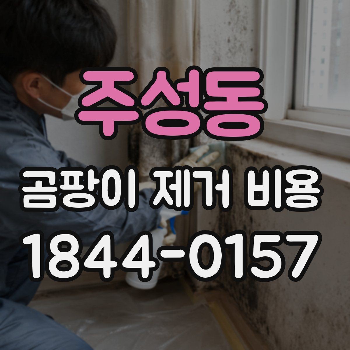 주성동 곰팡이 제거 비용 결로가 반복되는 집에서 달라지는 항목