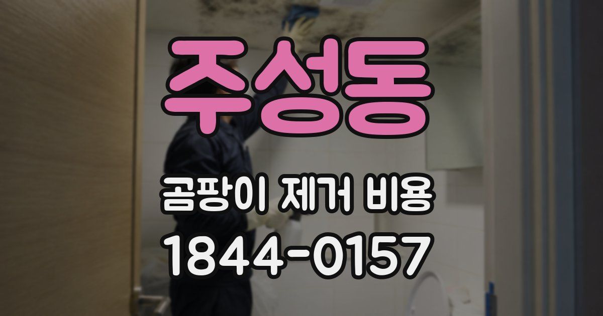 주성동 곰팡이 제거 비용