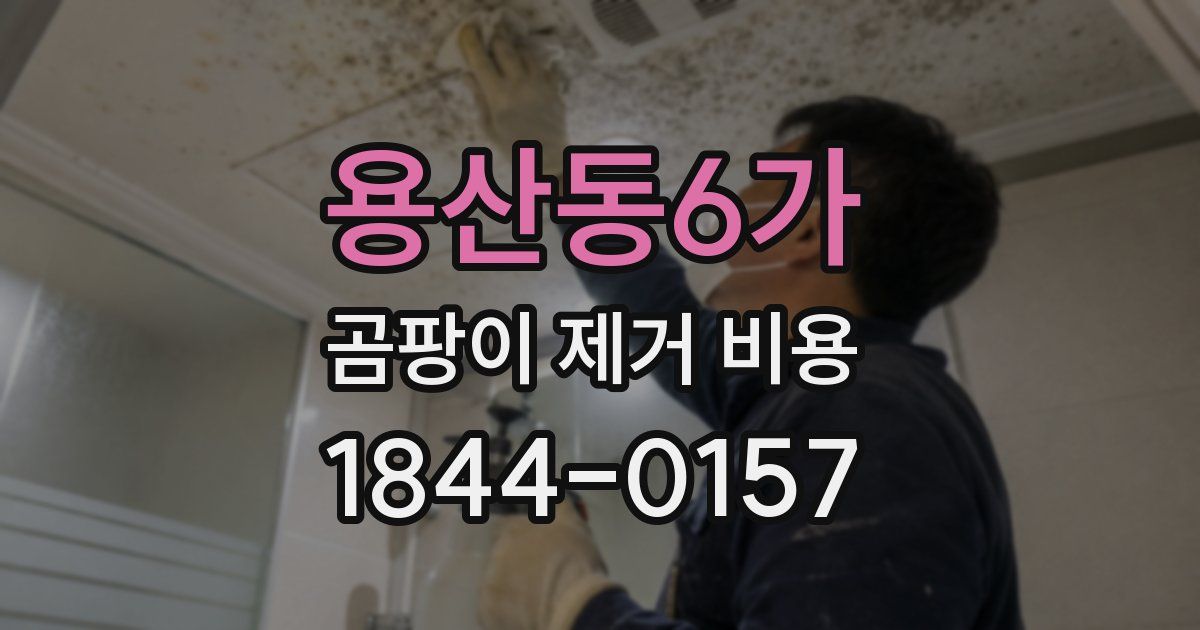 용산동6가 곰팡이 제거 비용